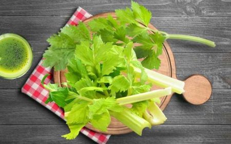 Manfaat Daun Seledri untuk Ginjal: Segar, Murah, Tapi Nggak Main-Main Khasiatnya!