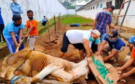 Cara Menyembelih Hewan Qurban Idul Adha 2025: Panduan Lengkap Syariat & Doa