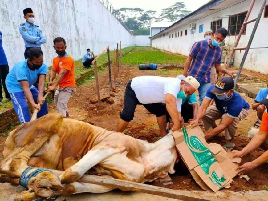 Cara Menyembelih Hewan Qurban Idul Adha 2025: Panduan Lengkap Syariat & Doa