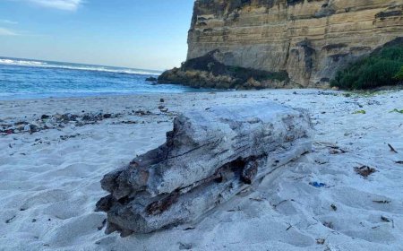 Pesona Pantai Kura-Kura, Surga Tersembunyi di Lombok Timur